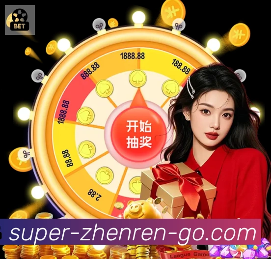 未来规划